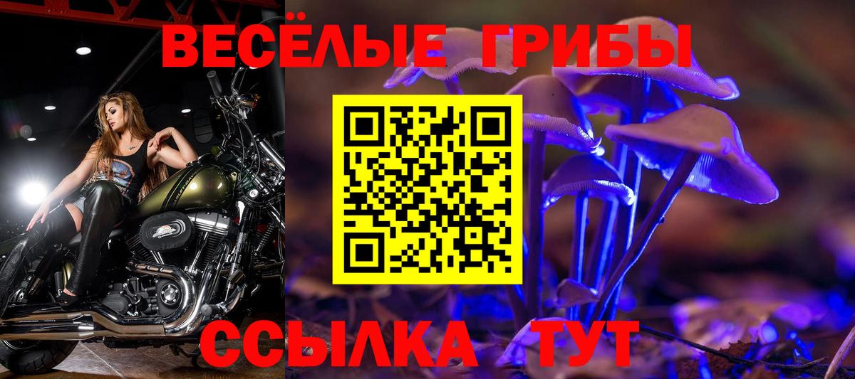 Псилоцибиновые грибы Psilocybe  Вход с VPN  Сорочинск 